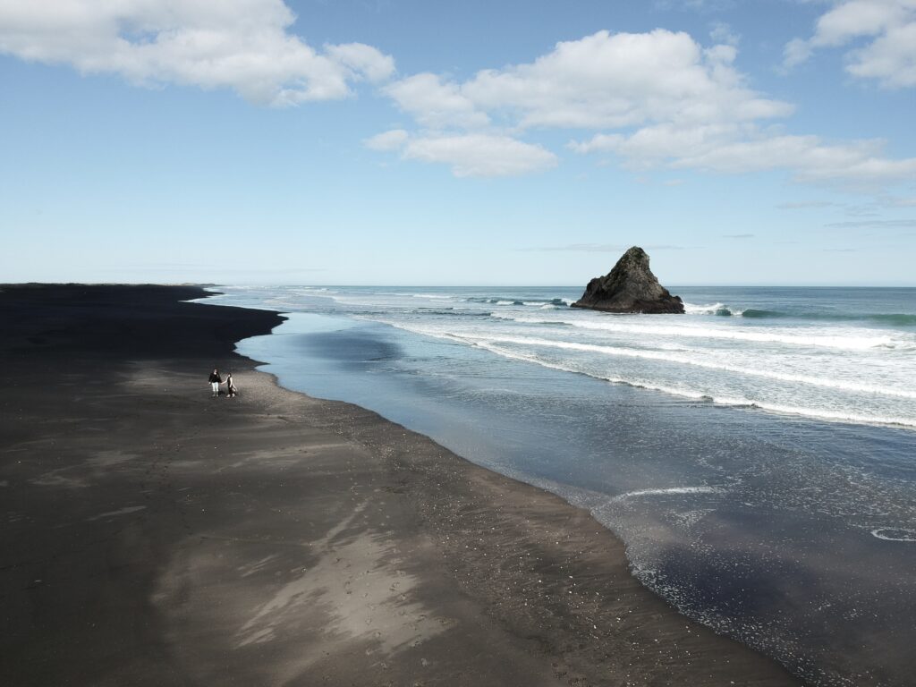 dcim/100media/dji 1593.jpg